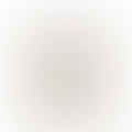 white vinegar