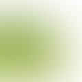 Green tomatoes