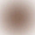 whole cloves
