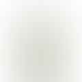white vinegar bottle