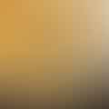 chicken broth