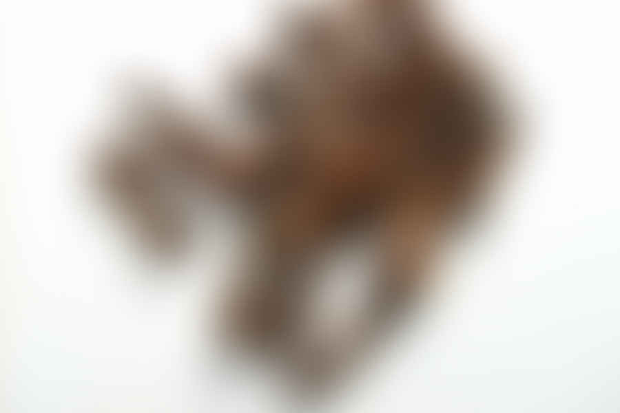 Cloves