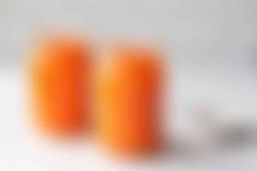 fermented carrots