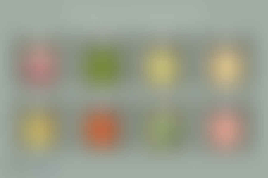 Montage of various pickled and fermented foods