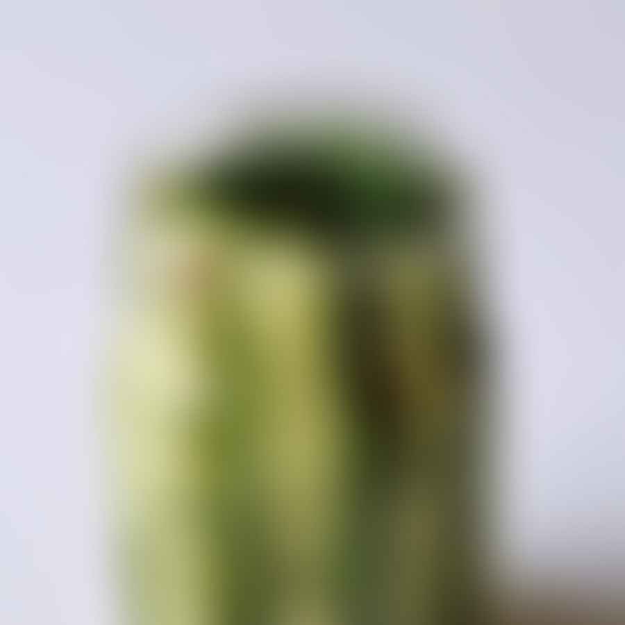 Assortment of homemade pickles in various jars