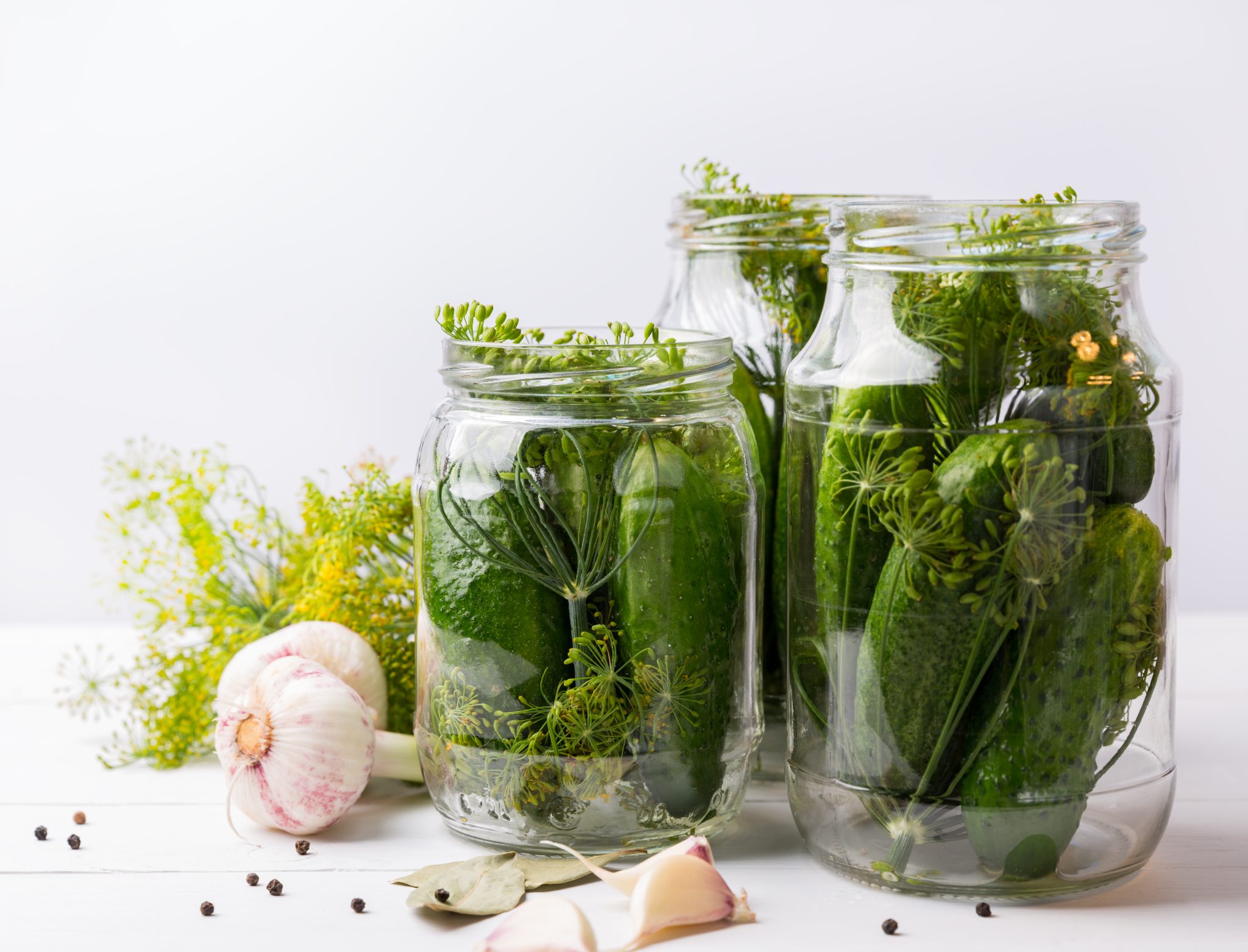 Fresh pickling cucumbers