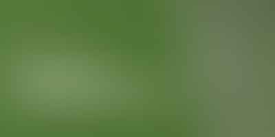 Unraveling Pickling in Python - Python's Pickle 🥒