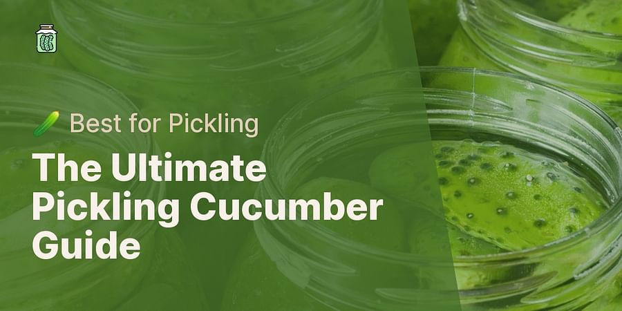The Ultimate Pickling Cucumber Guide - ๐ฅ Best for Pickling